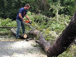 Mulching Services in Weldon Spring, MO